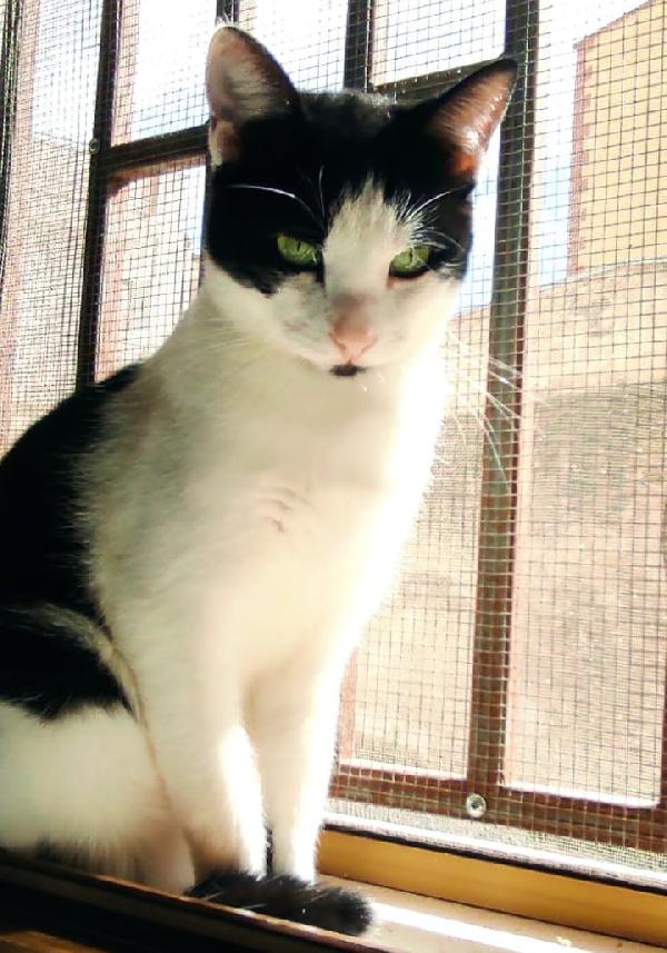 ZORRO & FRANCESCO Foto 7